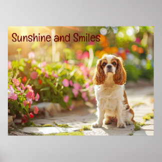 Poster Promenade dans le jardin éclairé : Cavalier King C