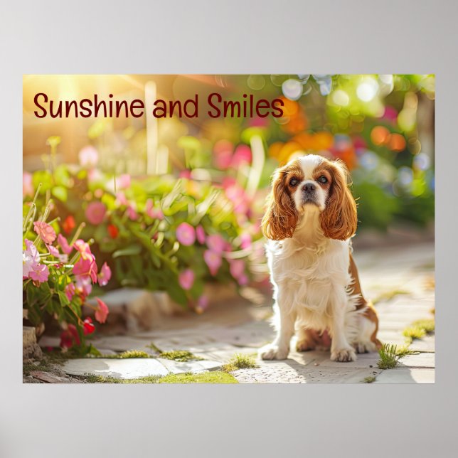 Poster Promenade dans le jardin éclairé : Cavalier King C (Devant)