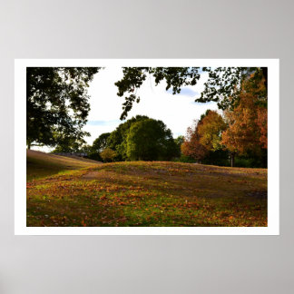 Poster Promenade Dans Le Parc