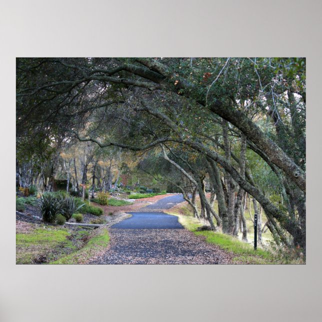 Poster "Promenade d'automne" (Devant)
