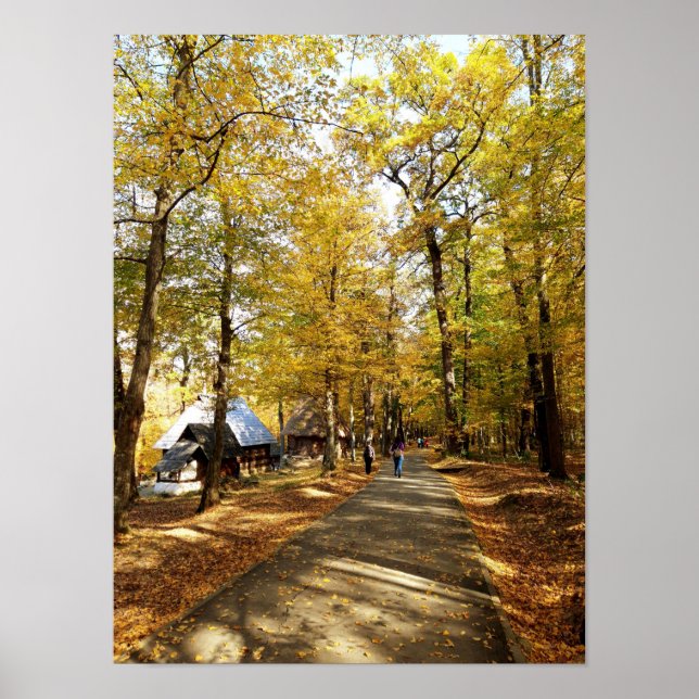 Poster Promenade d'automne dans le parc (Devant)