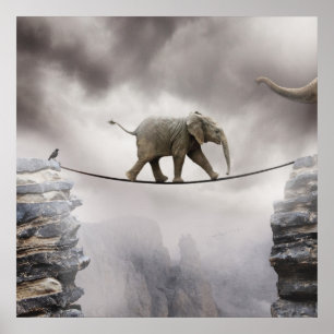 Poster Promenades d'éléphant de bébé Tightrope