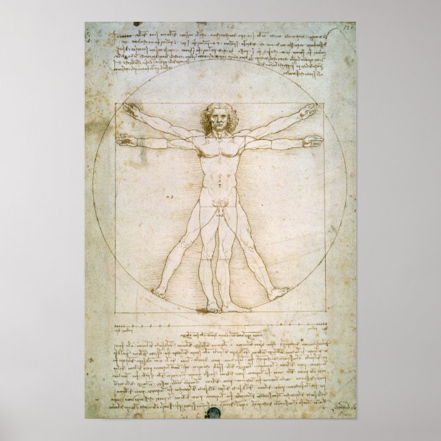 Poster Proportions de la figure humaine (Devant)
