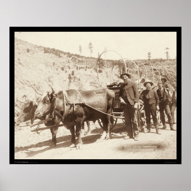 Poster Prospectors with Gold Fever SD 1889 (Devant)