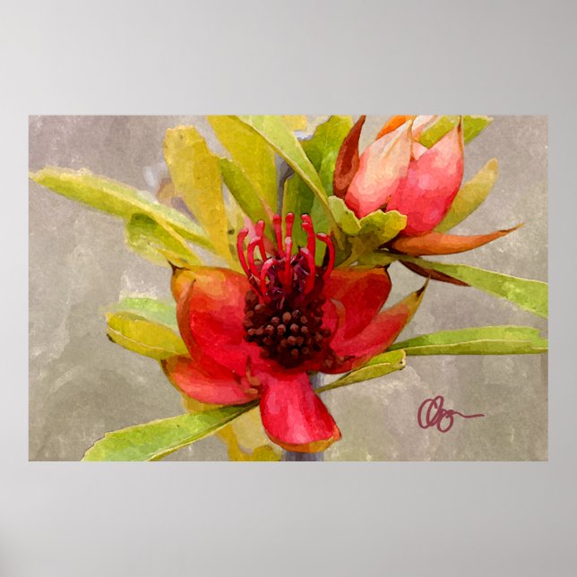 Poster Protea Love (Devant)