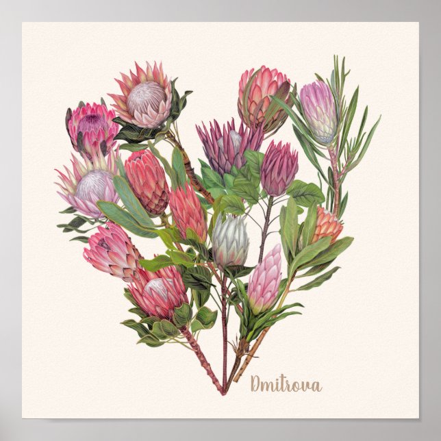 Poster Protea Petit (Devant)