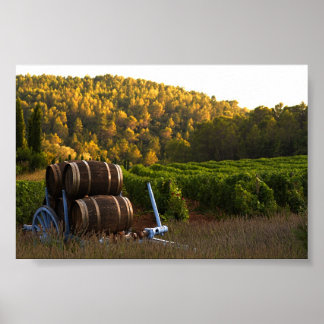 Poster Provence, France