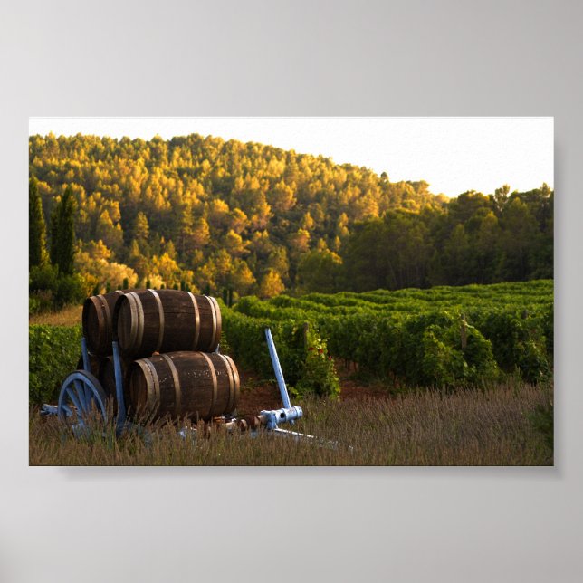 Poster Provence, France (Devant)