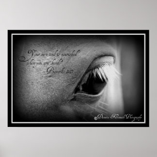 Poster Proverbes 11:17