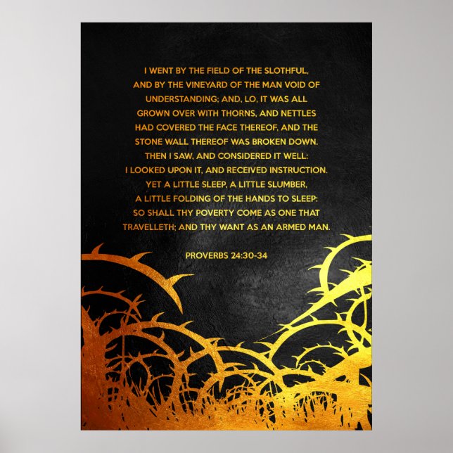 Poster Proverbes 24:30-34 Versets de la Bible (Devant)