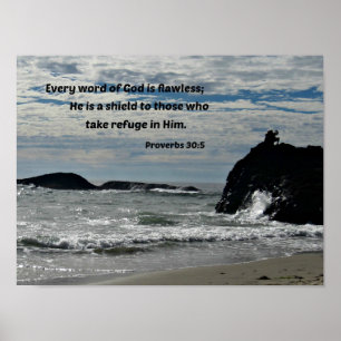 Poster Proverbes 30:5 Chaque parole de Dieu est impeccabl