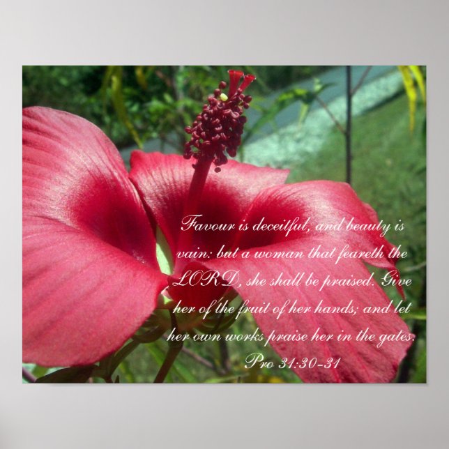 Poster Proverbes 31 Collection ~ Pro 31: 30-31 (Devant)