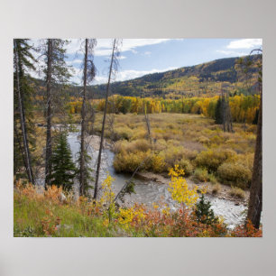 Poster Provo River et peupliers faux-trembles