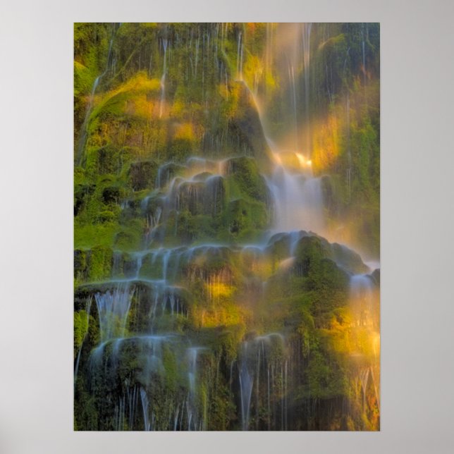 Poster Proxy Falls Three Sisters Wilderness Oregon (Devant)