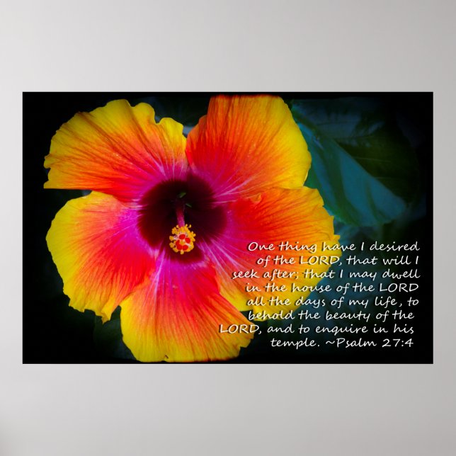Poster Psaume 27:4 Hibiscus sur noir (Devant)