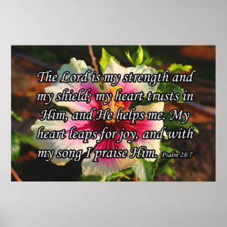 Poster Psaume 28:7, Hibiscus