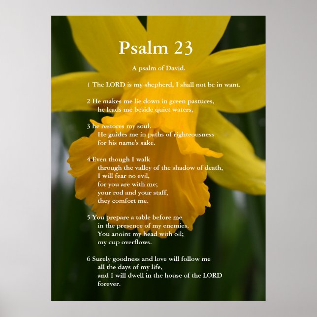 Poster Psaume biblique 23 versets de l'Écriture. jonquill (Devant)