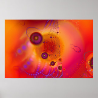 Poster Psyctopus Embryo