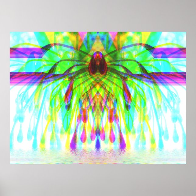 Poster PSYGAPANTHUS (Devant)