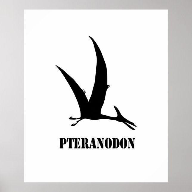 Poster pteranodon (Devant)