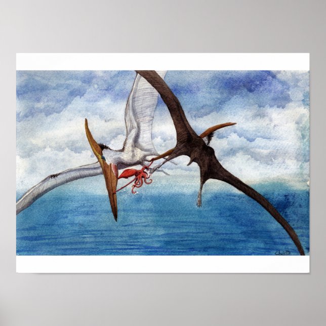 Poster Pteranodon (Devant)