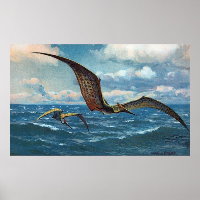 Poster Pteranodon Antique Print (Devant)