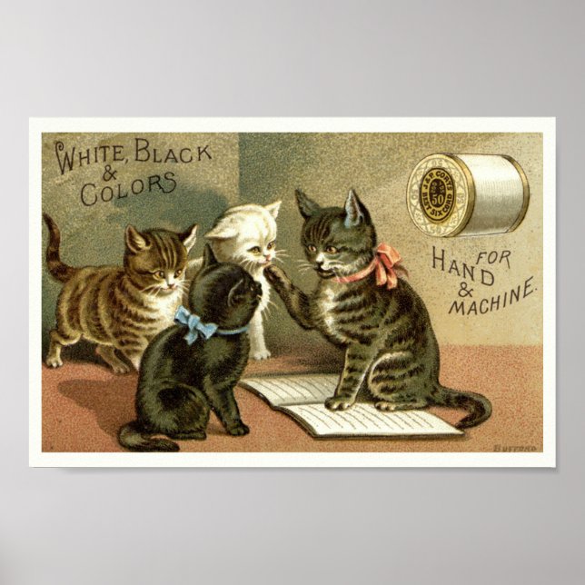 Poster publicitaire des chatons de l'époque victor (Devant)
