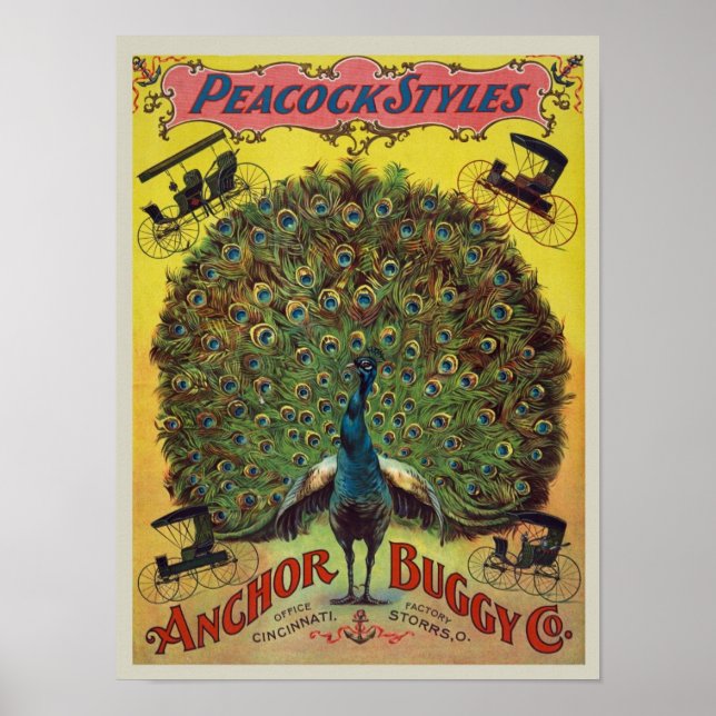 Poster Publicité Buggy vintage (Devant)