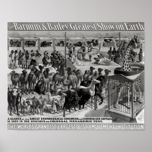 Poster Publicité d'affiche, 'Le Barnum et Bailey (Devant)