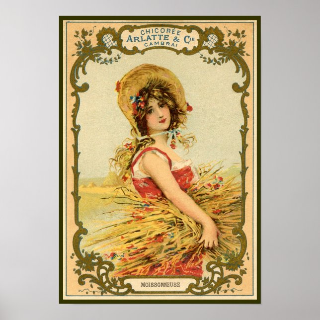 Poster Publicité sur la récolte de chicorée (Devant)