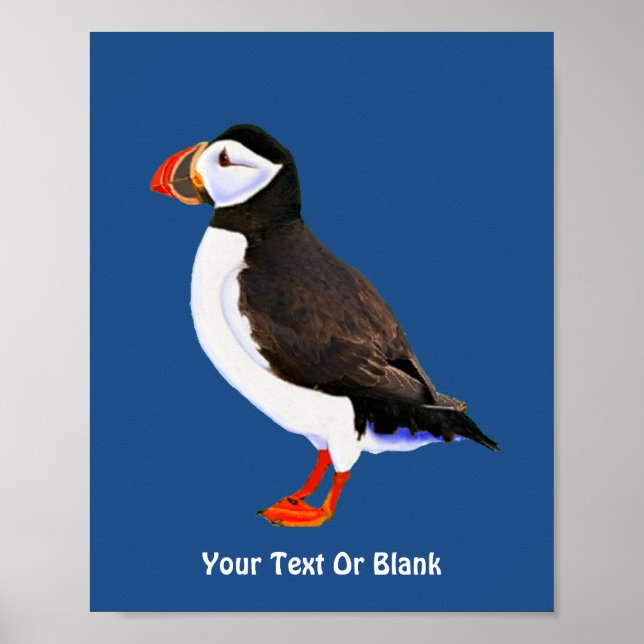 Poster Puffin de l'Atlantique (Devant)