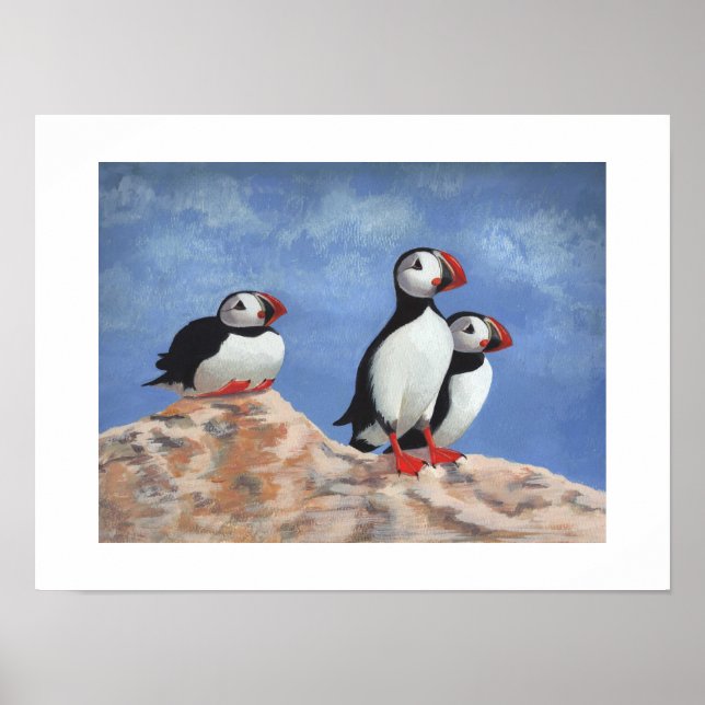 Poster Puffin Trio (Devant)