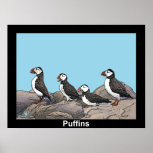 Poster Puffins de l'Atlantique