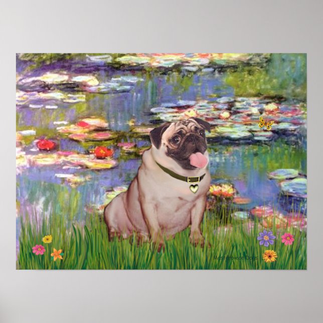Poster Pug 2 (faon) - Lys 2 (Devant)