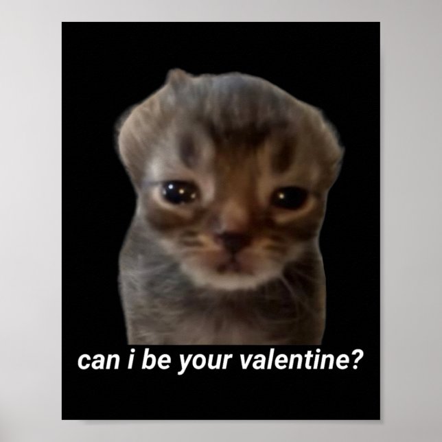 Poster Puis-Je Être Votre Valentine Funny Chat Mème Brain (Devant)