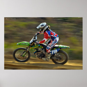 Poster Puissance du pigeon