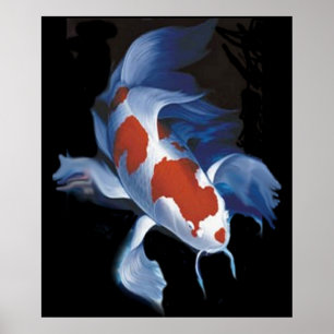 Poster Puissant Koi