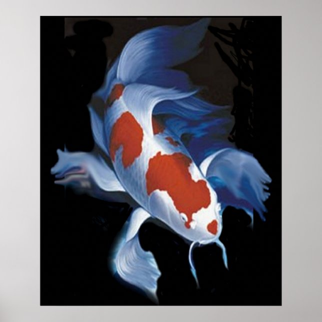 Poster Puissant Koi (Devant)