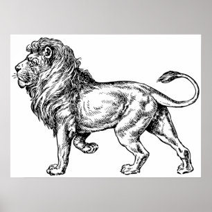 Poster Puissante croquis Lion