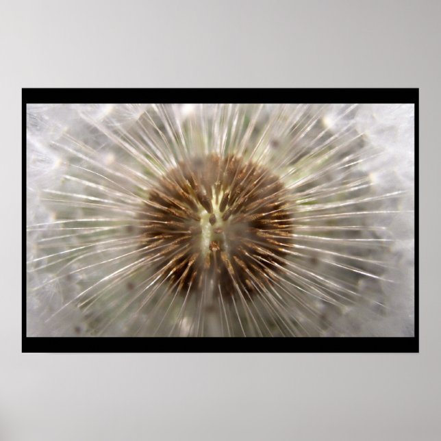 Poster Pulsar (Devant)