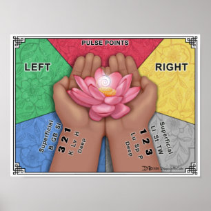 Poster Pulse Point Wall Chart - Large