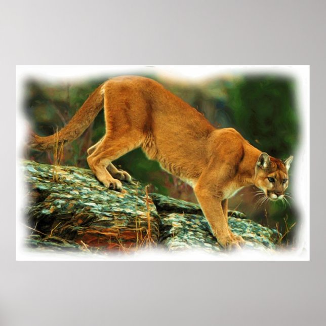 POSTER PUMA (Devant)