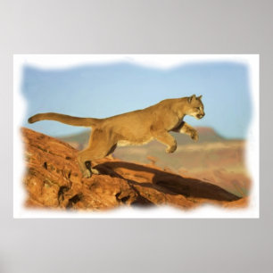 POSTER PUMA