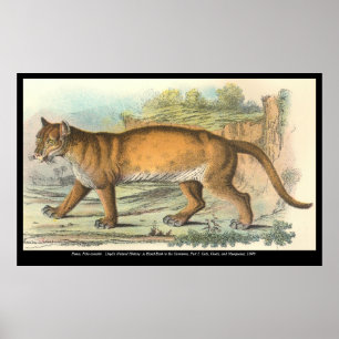 Poster Puma (homonymie)