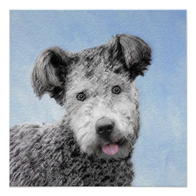 Poster Pumi Peinture - Cute Original Chien Art (Devant)