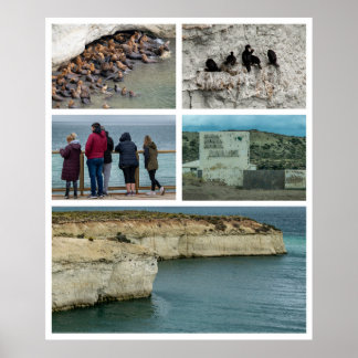 Poster Punta loma photo collage, province de chubut, arge