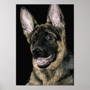 Poster Pup berger allemand - Poster/Imprimer - "Rommel"