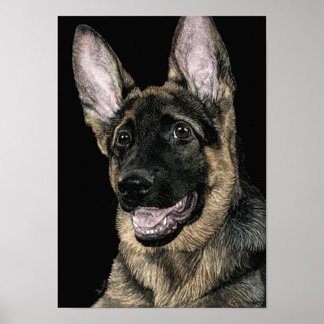 Poster Pup berger allemand - Poster/Imprimer - "Rommel" (Devant)