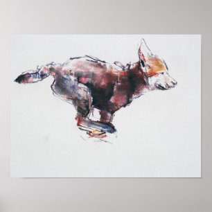 Poster Pup de loup