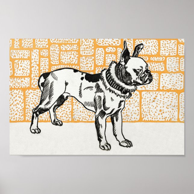 Poster Pup vintage (Devant)